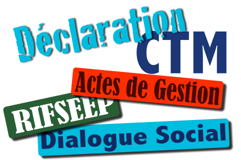 Declaration CTM 29 1