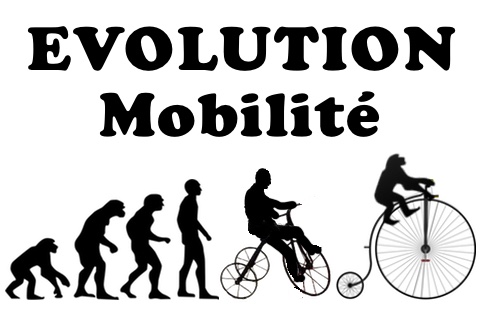 evolution cycle