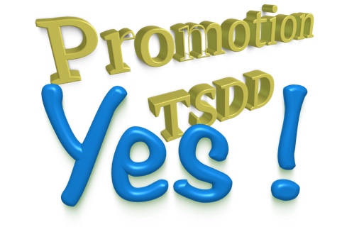 promotion tsdd2